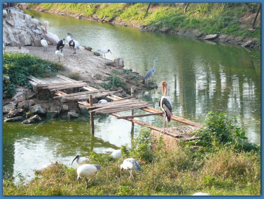 900x674 pixels (129K)